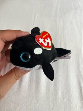 Orville Teeny Ty Beanie Babies Black Orca Plush Fish - Small Stuffed Toy